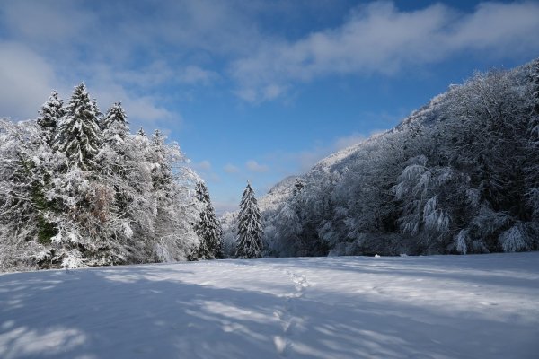 горы заморозки