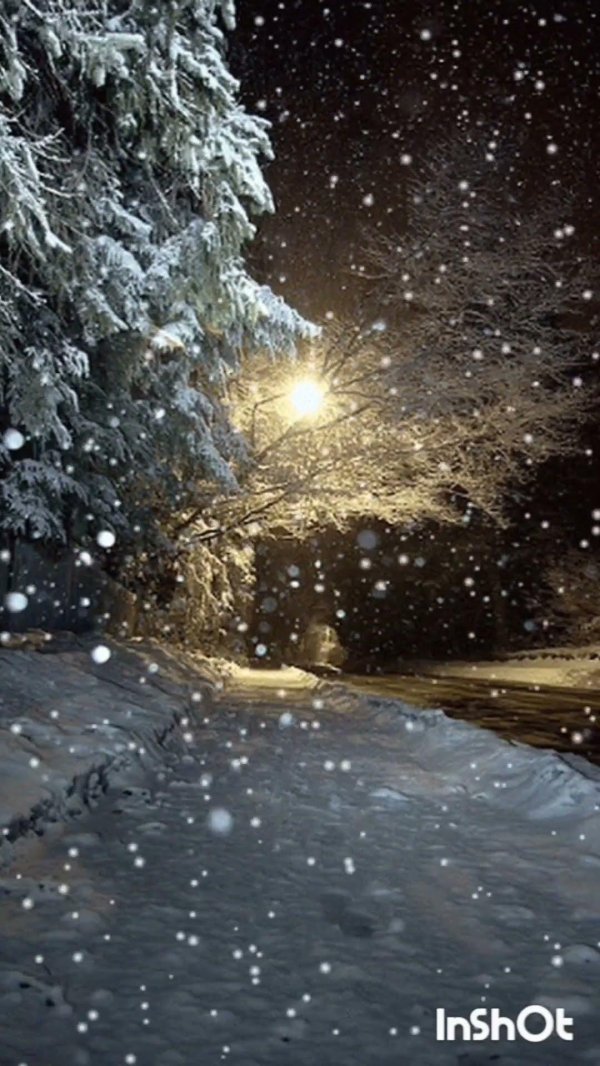 красивая зимняя ночь