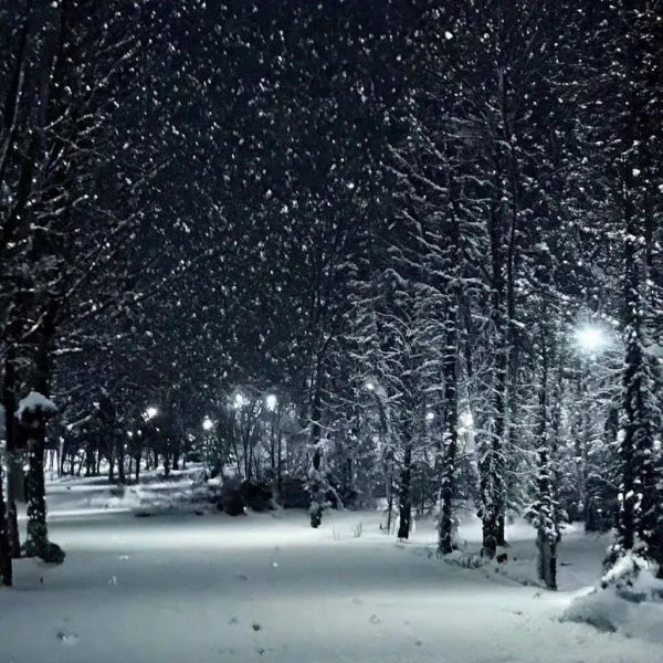 идущий снег