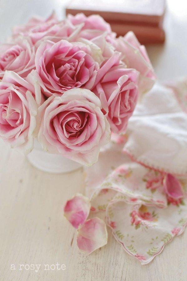 роза розовая