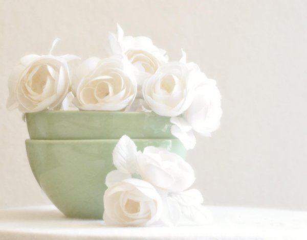 ранункулюс белые