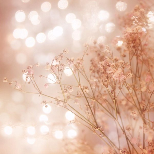 нежные тона