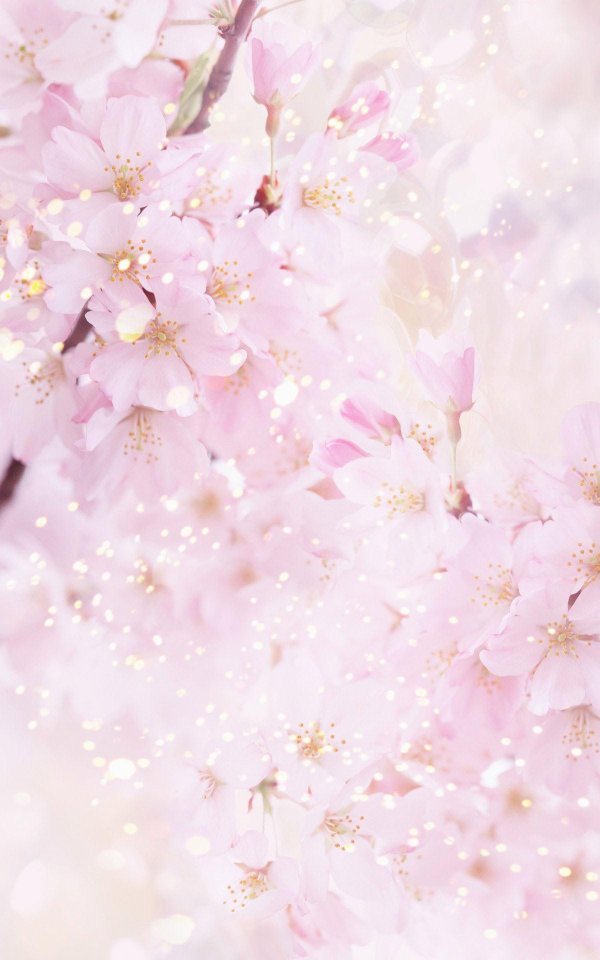 цветочные фоны