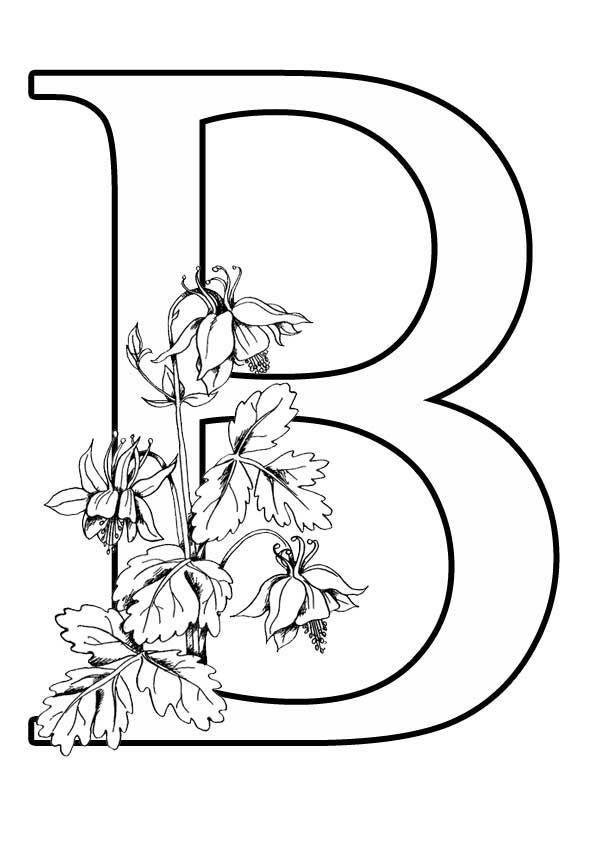 красивые буквы алфавита