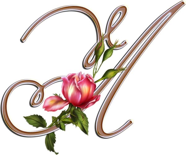 буква с красивая