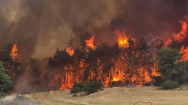 пожары пожары