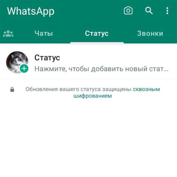 статус в вацап