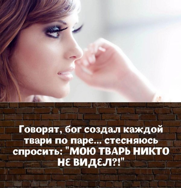 говорят каждой твари по паре