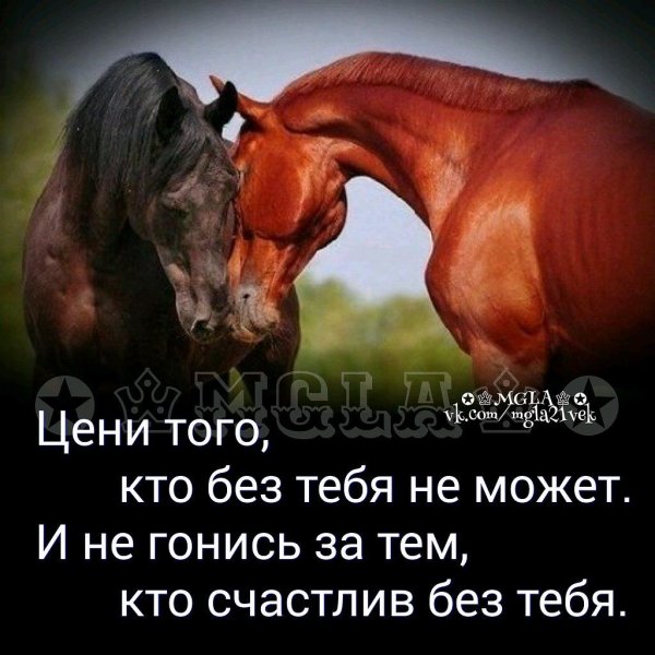 пара лошадей