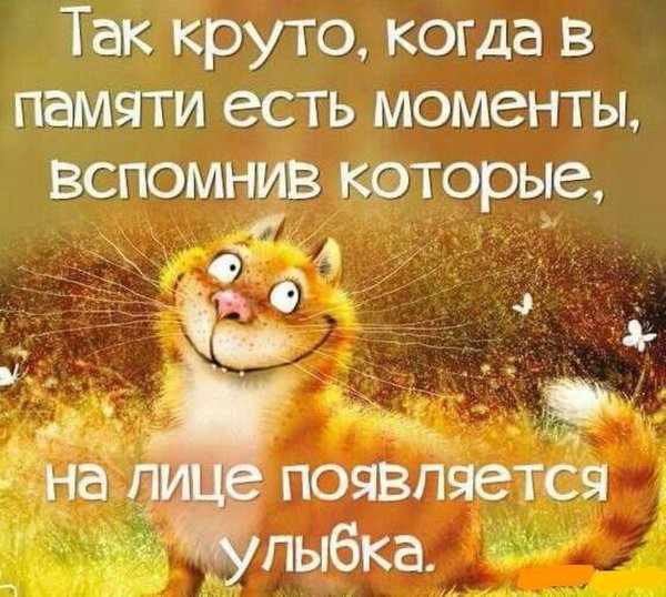 позитивные фразы