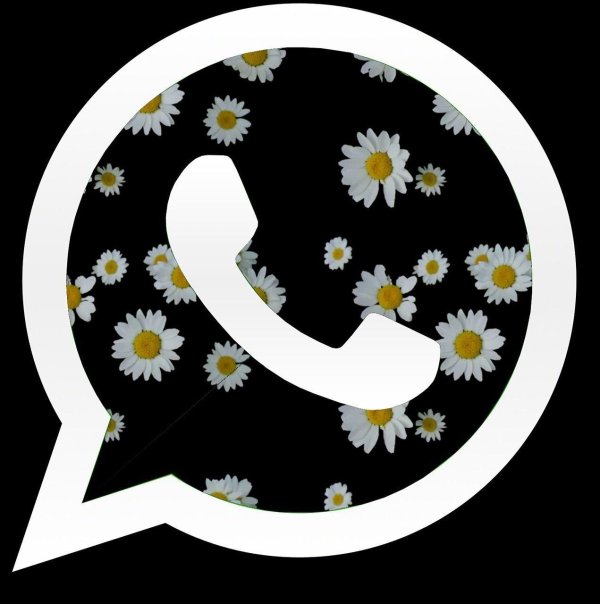 значок вотсапа