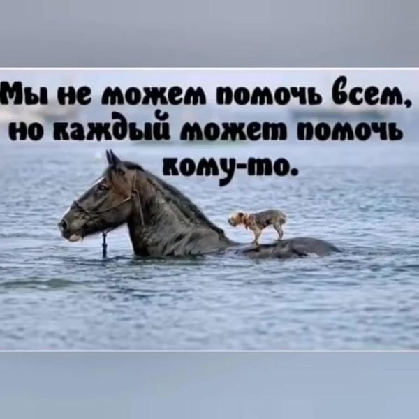 всегда помогайте комуто возможно вы