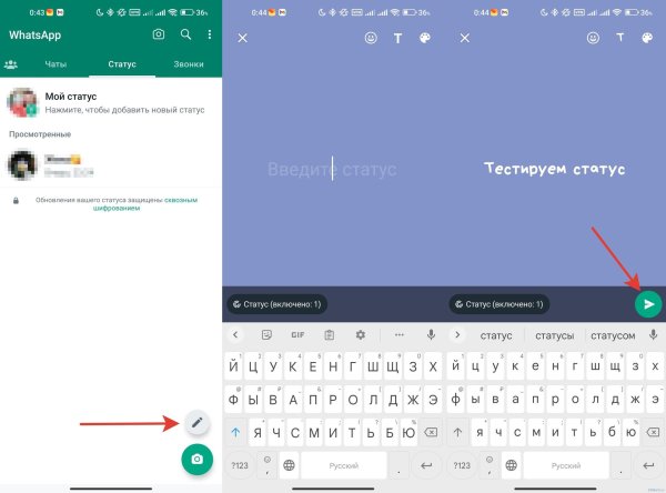сведения для ватсапа