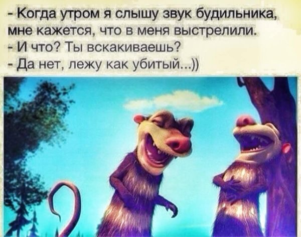 опоссум из ледникового периода