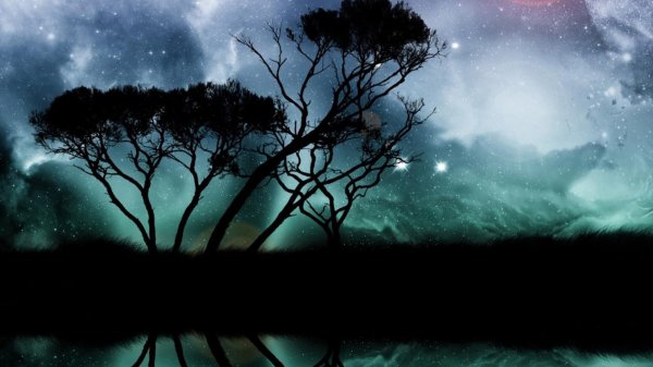 красивая ночь