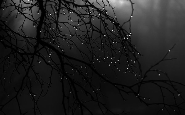 грустные фоны