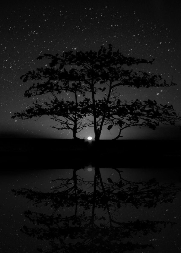 природа ночь