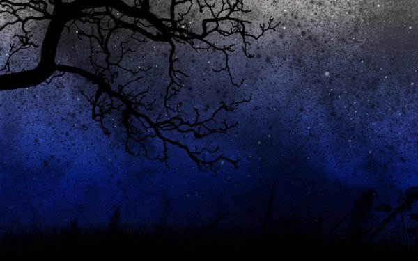 дерево ночью
