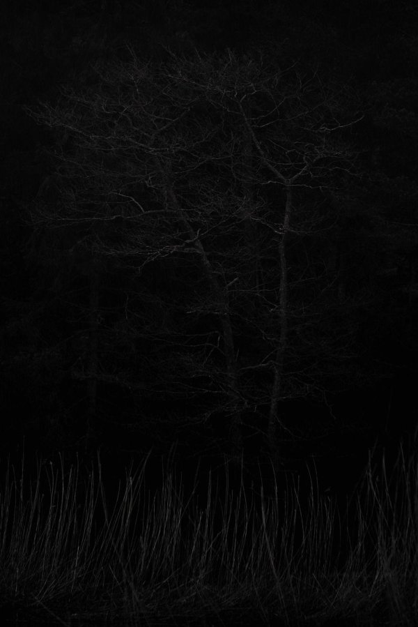 темное изображение