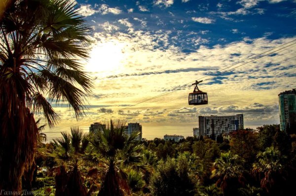 сочинский дендрарий канатная дорога