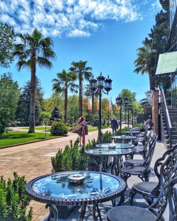 сочи навагинская улица