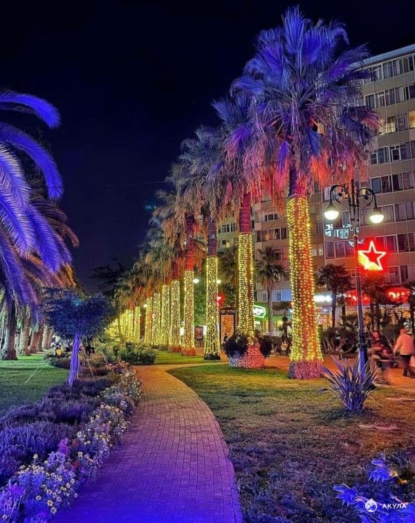 навагинская сочи