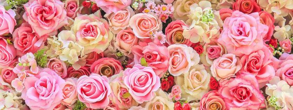 цветочные фоны