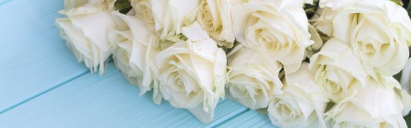 открытка с белыми розами