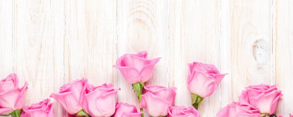 фотофон розы