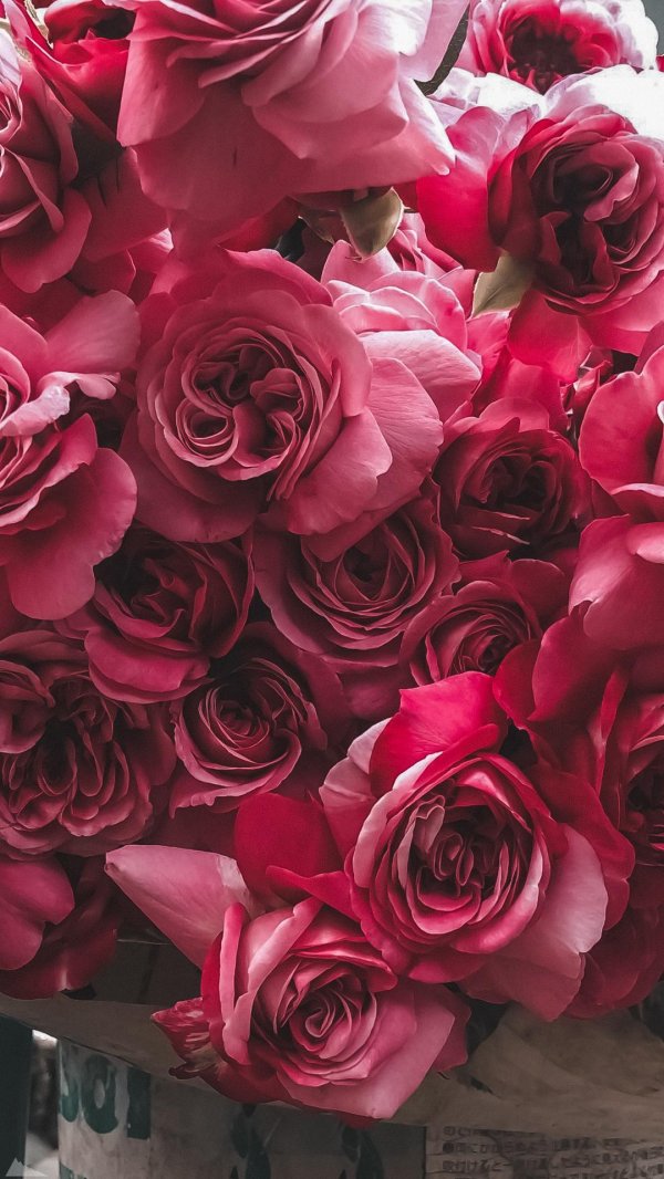 цветочные фоны