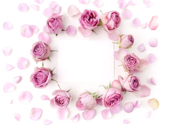 цветочная рамка