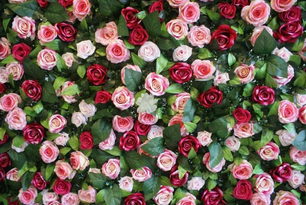 цветочная стена