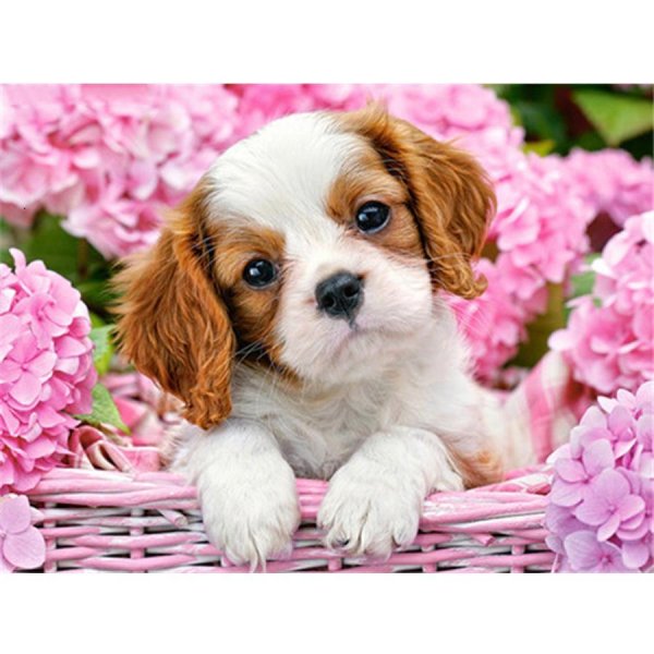 алмазная мозаика щенок