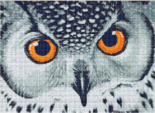 взгляд филина panna