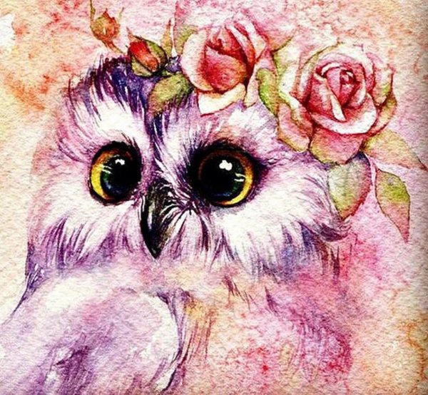 рисунок совушка