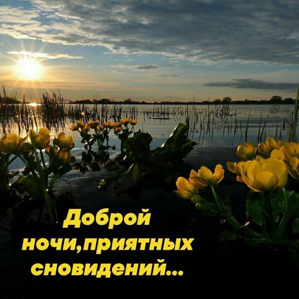 доброй ночи весна март