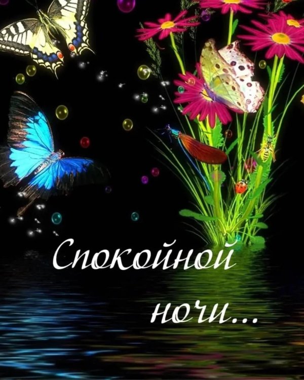 спокойная ночи