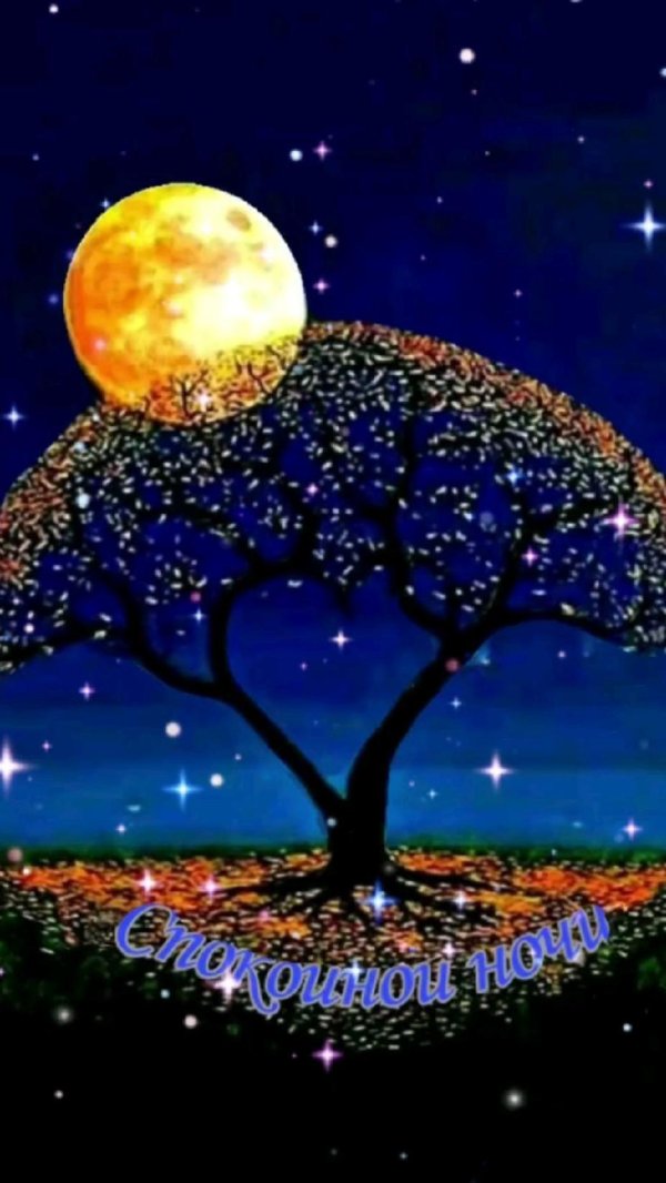 дерево в лунном свете