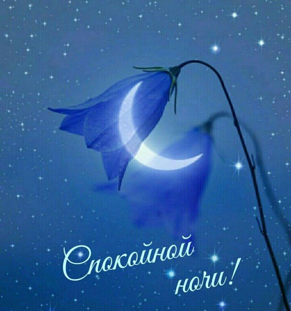 спокойной ночи рыбка