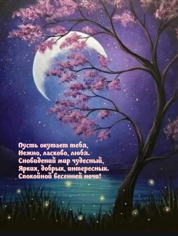 весенней ночи