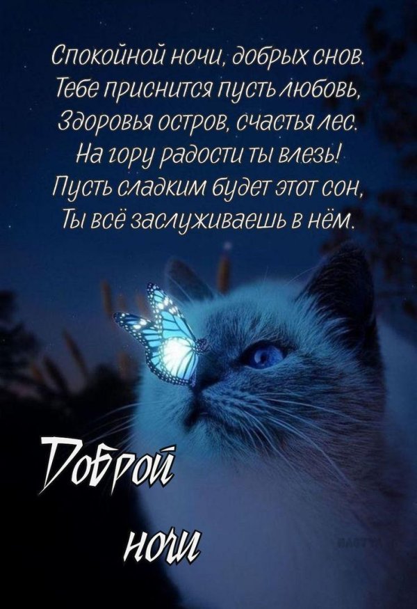 добрая ночь