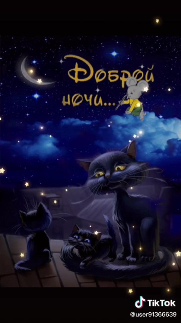добрая ночь