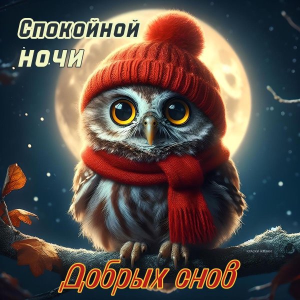 доброй ночи красивые необычные