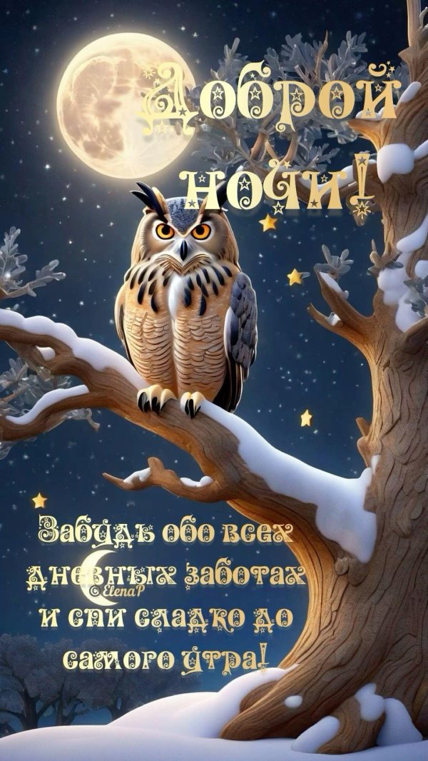 доброй ночи с совой