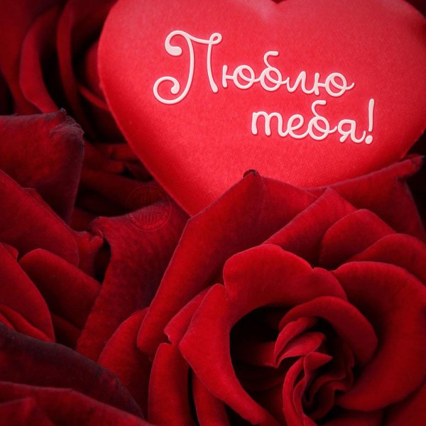 красивые открытки любимой девушке