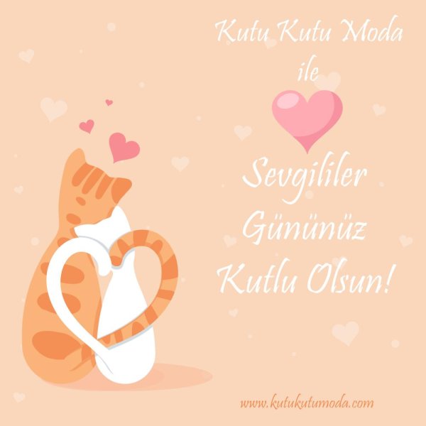 влюбленная кошка