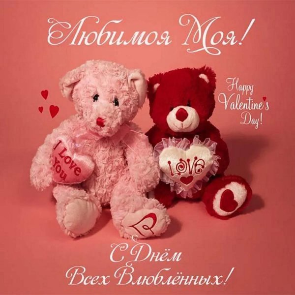 valentines day teddy bear