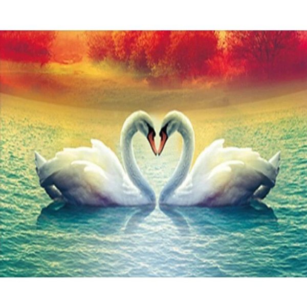 влюбленные лебеди