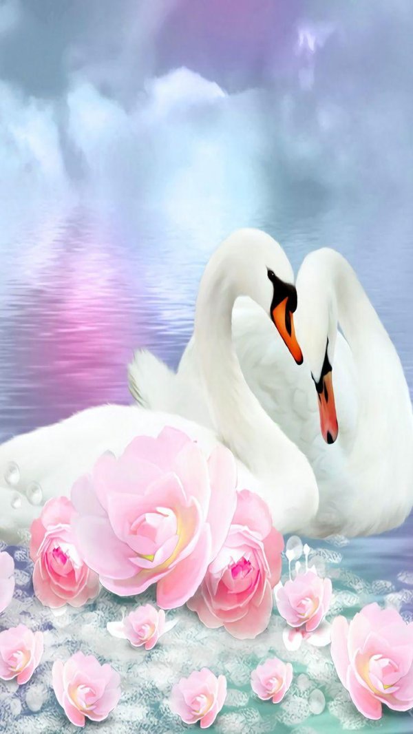 фотообои лебеди