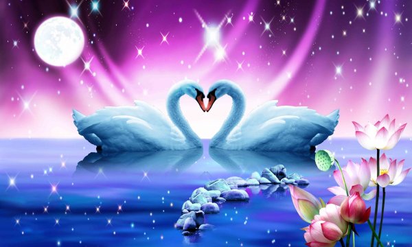 волшебный лебедь